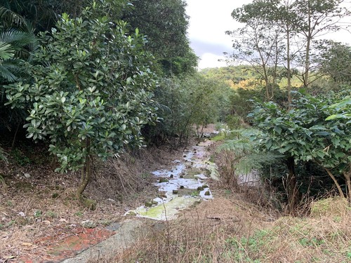 七堵國有地租賃權轉讓